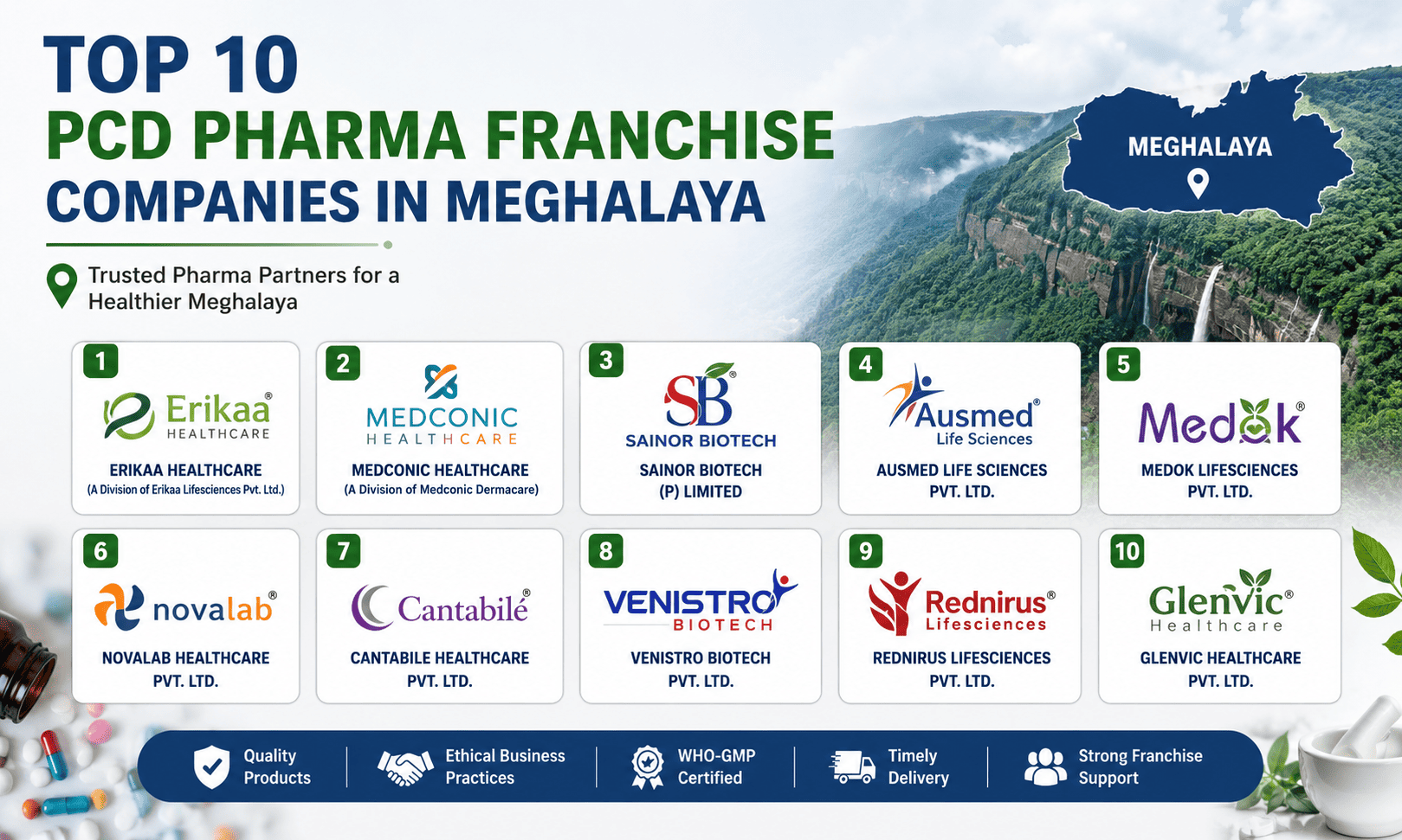 Top 10 PCD Pharma Franchise Companies in Meghalaya (2026)