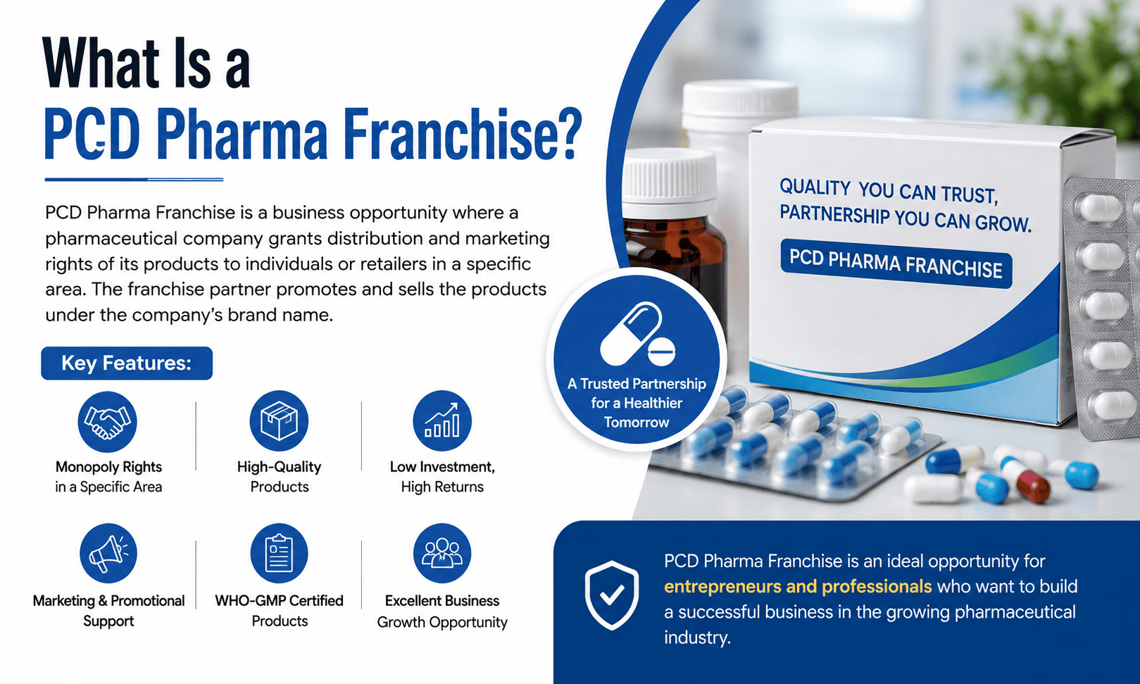 What Is a PCD Pharma Franchise? Complete Guide for Beginners